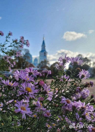 Прогулки по Ладоге