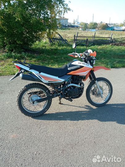 Пантера 250 кубов