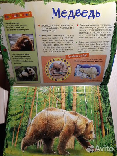 Книги с трафаретами