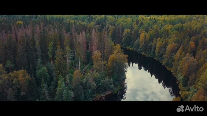 Видеограф Видеосъемка Монтаж Оператор Реклама Клип