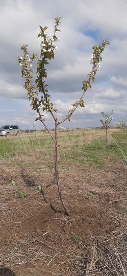 Участок 1,8 га (СНТ, ДНП)