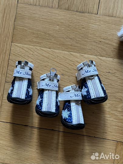 Обувь для собак мелких пород