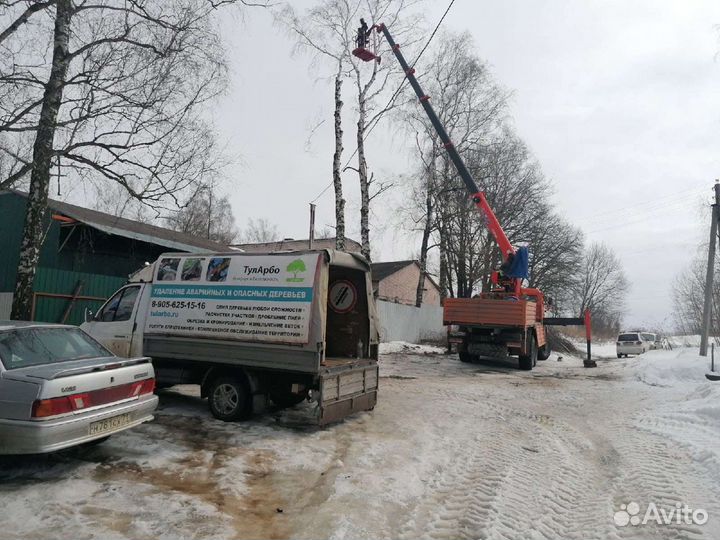 Спил деревьев, валка деревьев