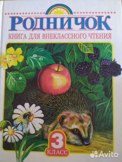 Книга для внеклассного чтения 