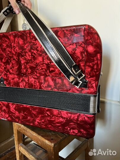 Баян немецкий