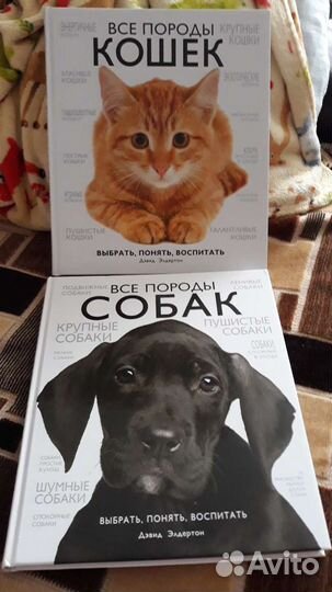 Энциклопедия