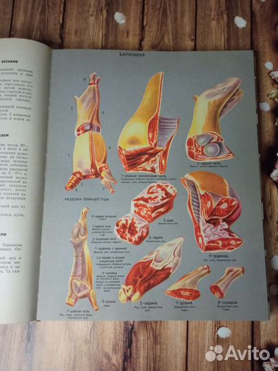 О вкусной и здоровой пище, 1954 г, сборник