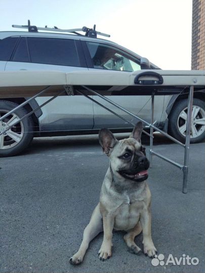 Массажный стол