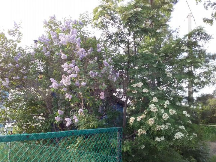 Дача 30 м² на участке 6 сот.