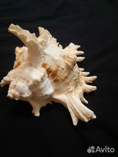 Декорации для аквариума