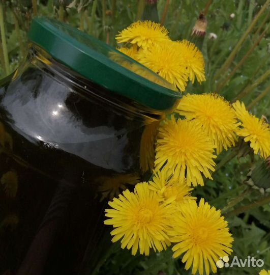 Варенье из одуванчиков (одуванчиковый мед)