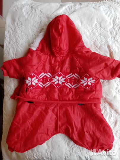 Одежда для собак. Комбинезон для собаки