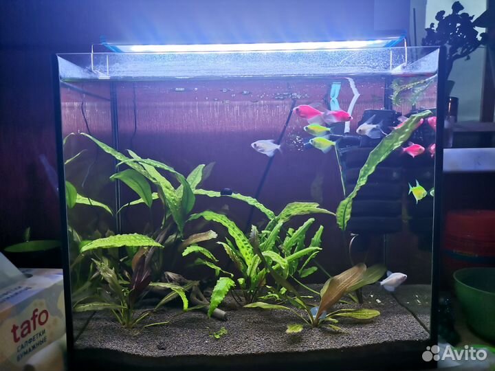 Аквариум 30 литров комплект