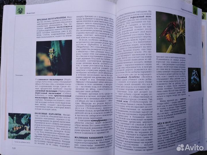 Книга,Энциклопедия для детей Биология