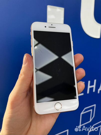 iPhone 8 64GB Gold (TRD) 356396106773874