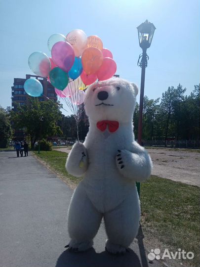 Белый мишка поздравление/Панда, Зайчик/Аниматор