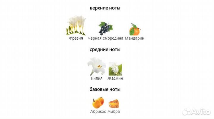 Hugo Boss - Essence de Femme