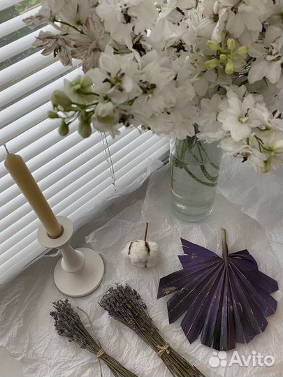 Сухоцветы для творчества