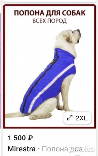 Попона для собак