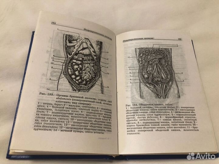 Атлас карманный анатомия человека