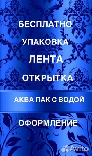 Цветы Розы красные 31 шт крупные cорта Freedom