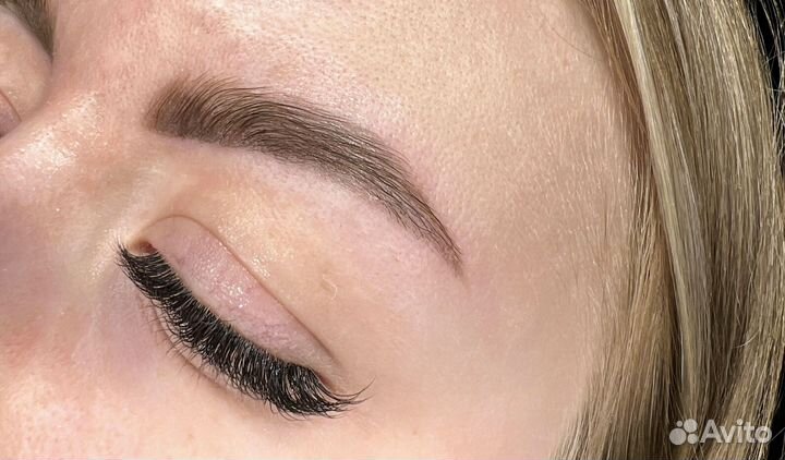 Мастер бровист