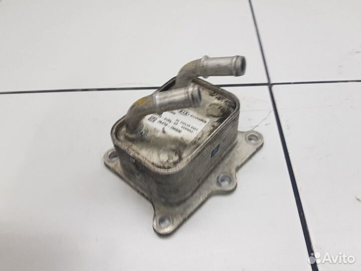 Радиатор масляный (Kia K5 III)