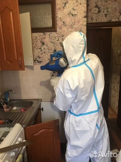 Уничтожение клопов/тараканов/слизней/короеда/змей