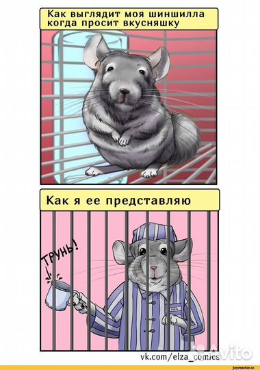 Клетка для грызунов бу