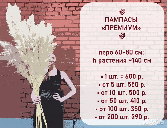 Супер-пушистая Пампасная трава