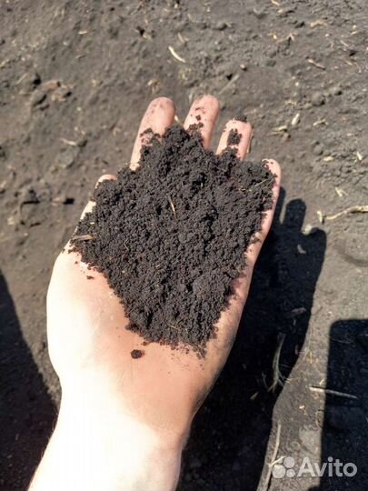 Чернозем с Доставкой