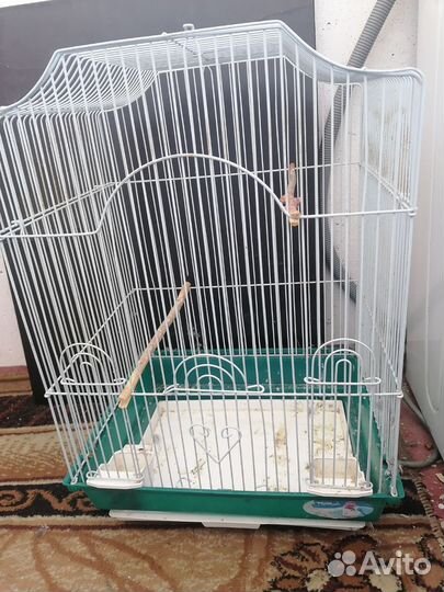 Большая клетка для птиц