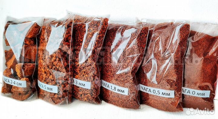 Чага сушеная / молотая и кусковая