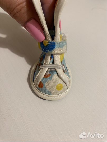 Обувь для собак кеды