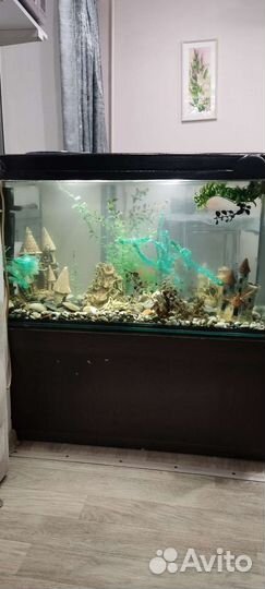 Аквариум