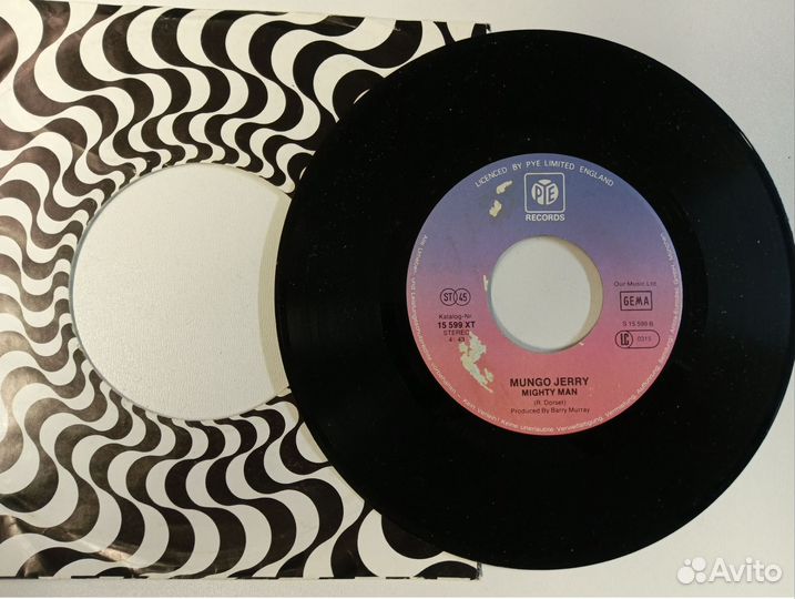 Mungo Jerry In The Summertime винил single 1978