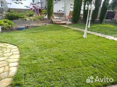 Рулонный газон