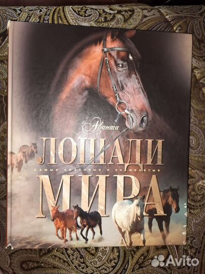 Большая книга о лошадях