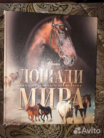 Большая книга о лошадях