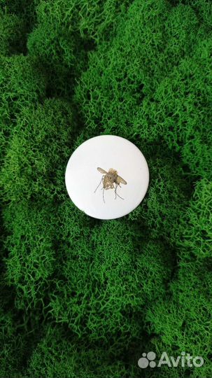 Значки на рюкзак