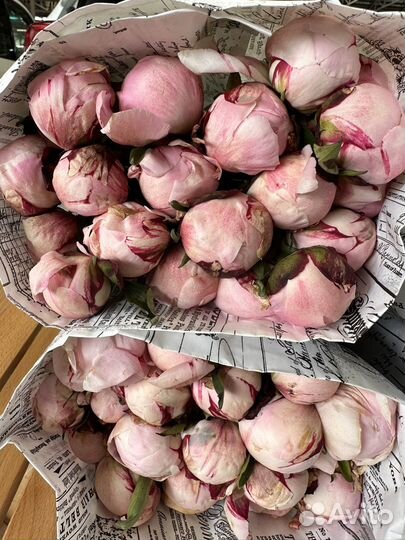 Цветы оптом