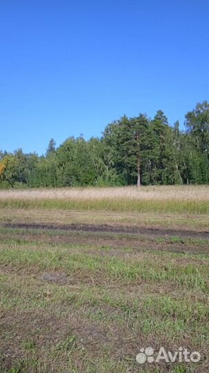 Сено в рулонах 145