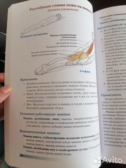 Анатомия пилатеса. Раэль Исаковиц, Карен Клиппинге