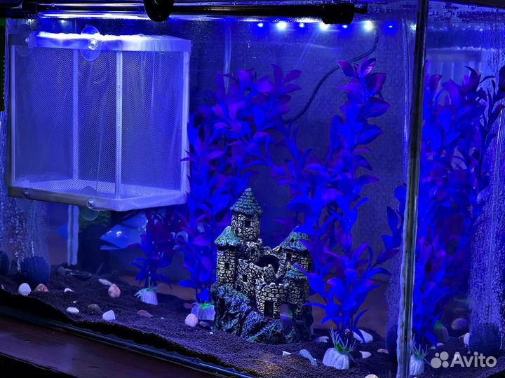 Аквариум 70 литров полный комплект