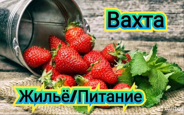 Упаковщик Теплицы Вахта Жилье/Питание 20 смен