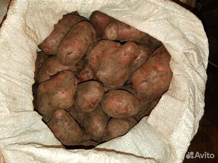 Картофель деревенский с доставкой