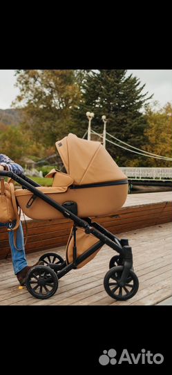 Коляска anex e type 3 в 1
