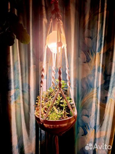 Кашпо с живыми растениями. Подарок на 8 марта