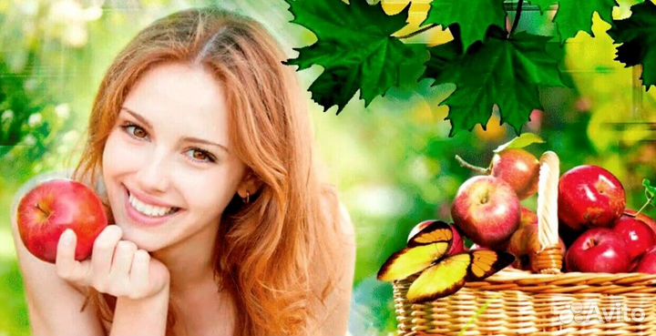 Работник по сборке яблок на сезон