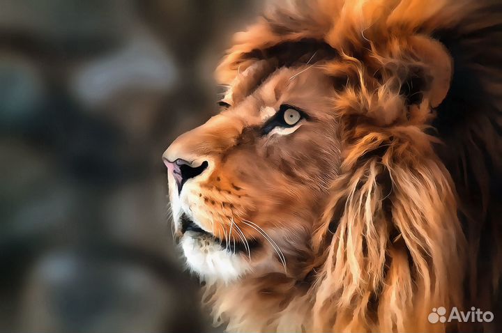 Картина Лев на выбор